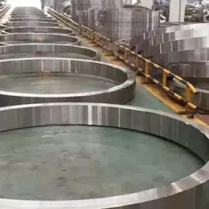 stainless steel forged rings products